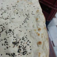 ظرف شور حرفه ای