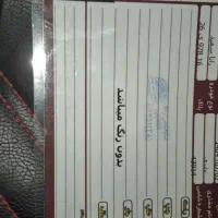 رانا پلاس ۴۰۱ بدون رنگ|خودرو سواری و وانت|قم, فرهنگیان و شهربانی|دیوار