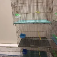 قفس پرنده|لوازم جانبی حیوانات|تهران, قصر فیروزه ۱|دیوار
