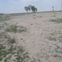 زمین-کشاورزی-با-موقعیت-بسیار-عالی-در-شهرک-قلیپور
