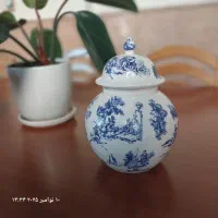 جینجرجار زیبا