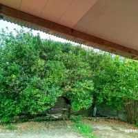 خانه ی ویلایی بهترین لوکیشن و ویو روبه جنگل