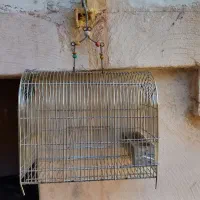 قفس سهره