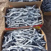 ذغال پسته قلم ‌ و کبابی|عمده‌فروشی|اصفهان, فروردین|دیوار