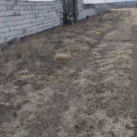 زمین باغ و برای سوله زدن در بر جاده امند|فروش زمین و ملک کلنگی|صوفیان, |دیوار