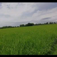 قیمت متری ۴۰۰