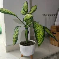 گلدان پلاستیکی طرح سفال