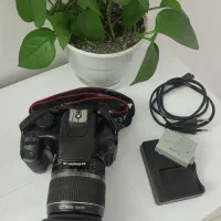 دوربین عکاسی ۱۰۰۰d|دوربین عکاسی و فیلم‌برداری|رشت, فلسطین|دیوار