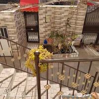 اجاره روزانه/هفتگی/ماهانه ویلا ۱۰۰ متری|اجارهٔ کوتاه‌مدت ویلا و باغ|بیرجند, |دیوار