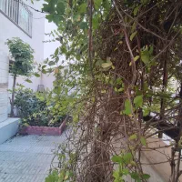 عرصه-تسویه-ویو-پاناروما-محله-یک-نیکو
