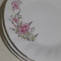 خورشت خوری چینی طول نو نو|ظروف سرو و پذیرایی|تهران, شیخ هادی|دیوار