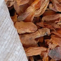 زرد آلو خشک