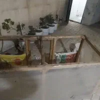 قفس چوبی مرغ         منزل اباد هستیم