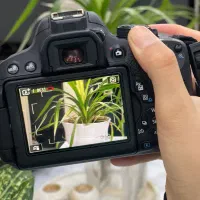 دوربین کنون 700|دوربین عکاسی و فیلمبرداری|تربتحیدریه, فردوسی جنوبی|دیوار