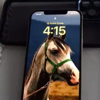 اپل iPhone 12 Pro Max با حافظهٔ ۲۵۶ گیگابایت