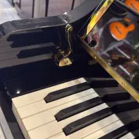 پیانو سوزوکی|پیانو، کیبورد، آکاردئون|تهران, گلستان (شهرک راه آهن)|دیوار