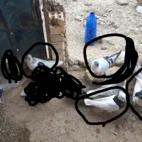 کبوتر، رنگه، پرشی