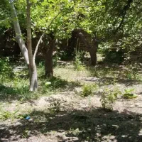 باغچه باغ  250متری|فروش دفتر صنعتی، کشاورزی، تجاری|باغ بهادران, |دیوار