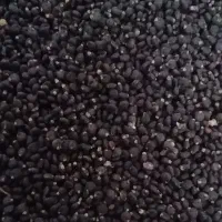 فروش بذر خرفه بوجاری شده