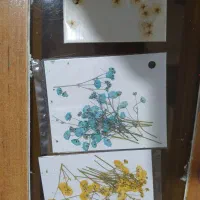 قالب سیلیکون|صنایع دستی و سایر لوازم تزئینی|شاهینشهر, حافظ شمالی|دیوار