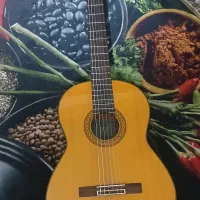گیتار c80