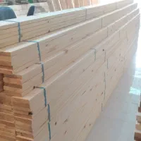 استخدام منشی خانم