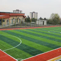 چمن زمین ورزشی و فوتبال|تجهیزات ورزشی|شیراز, گویم|دیوار