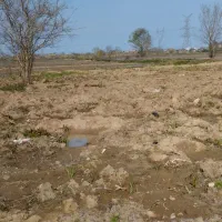 فروش زمین با سند تک برگ سبز