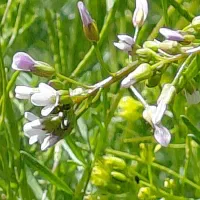 ثبت نام در بلو