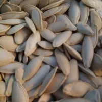 تخمه کدو زبون ماری