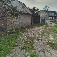 یک باب انباری|اجارهٔ خانه و ویلا|رشت, ولکس|دیوار