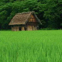 فروش زمین ۲۵۰ متری