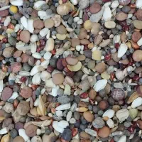 بورس خوراک پرندگان ( گل دانه)|لوازم جانبی حیوانات|قم, فرهنگیان و شهربانی|دیوار