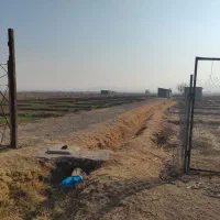 فروش زمین گلخانه8000متری