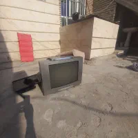 تلویزیون|تلویزیون و پروژکتور|کارون, |دیوار