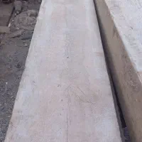 فروش تخته بنایی روسی