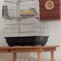 ۲تا قفس بزرگ