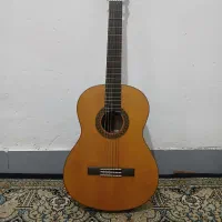 گیتار Walden مدل N560