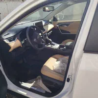 رافور هیبرید ژاپن