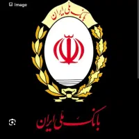 داوطلبانه
