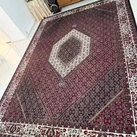 فرش ۱۲متری|فرش|فردیس, فردیس|دیوار