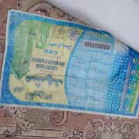 فرش ۹ متری و دو عدد۶ متری|فرش|پرند, فاز ۶|دیوار