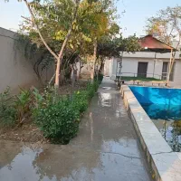 اجاره روزانه باغچه|اجارهٔ کوتاهمدت ویلا و باغ|پاکدشت, پاکدشت (مامازند)|دیوار