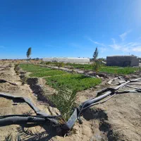 فروش گلخانه همراه با زمین و آب|اجارهٔ دفتر صنعتی، کشاورزی، تجاری|سراوان, |دیوار