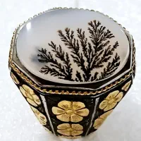 شجر رکاب شیخی