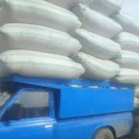 کاه گندم درجه ۱ کاه رخ تحویل در محل