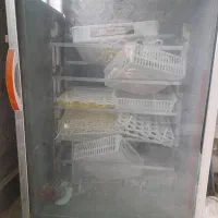 دستگاه جوجه کشی