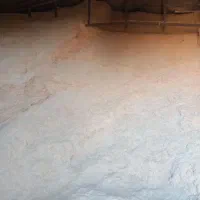 کاه گندم دیم