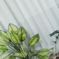 فروش پرده حریر همراه با چوب پرده ریلی