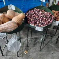 پالت میوه|فروشگاه و مغازه|تهران, شهرک ولیعصر جنوبی|دیوار